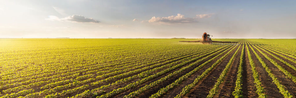 Projetos agropecuários com
excelência, agilidade, comprometimento
e resultado garantido